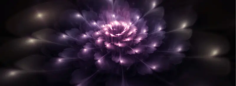 梦幻紫色发光的花朵背景