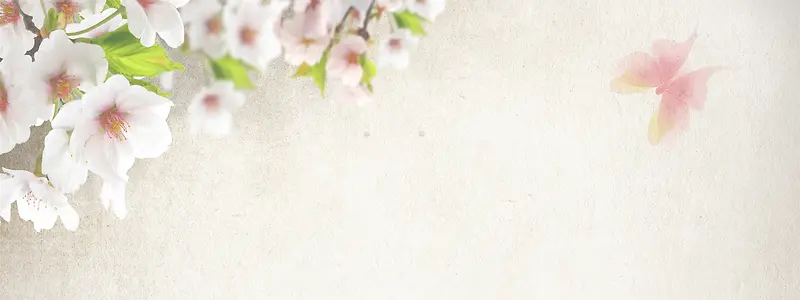 唯美花朵背景