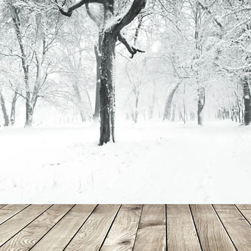 冬季树木地板背景图