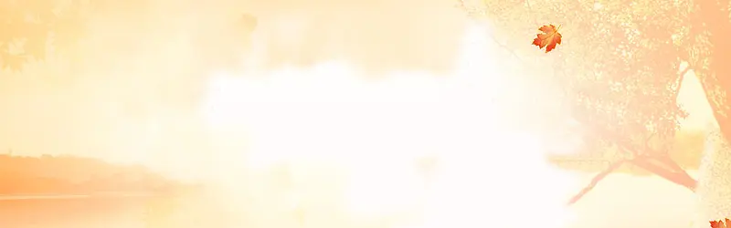 秋季秋色唯美背景banner