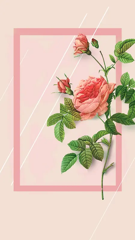 女生节粉色玫瑰边框H5背景素材