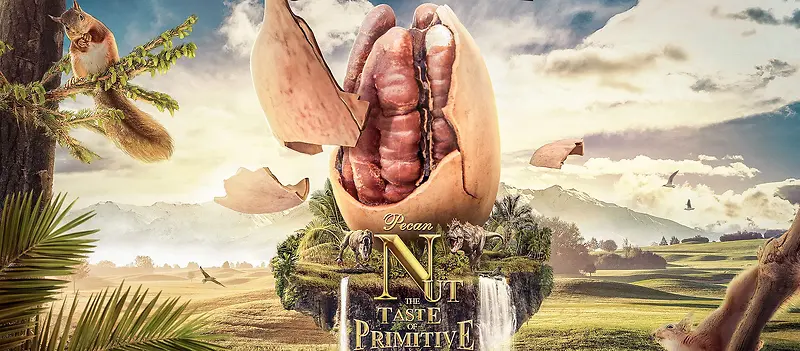 卡通坚果背景banner