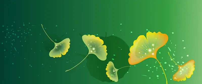 清新银杏树叶banner背景