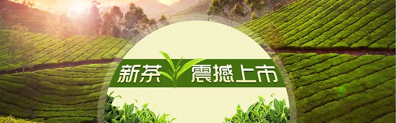 新茶上市banner素材