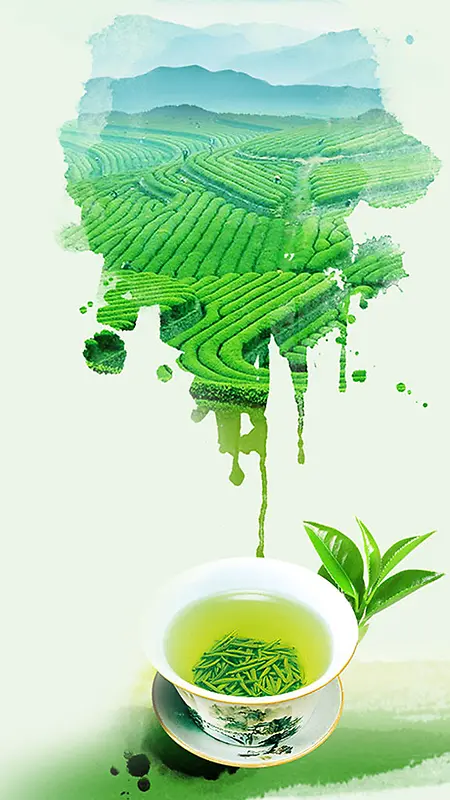 绿色春天茶叶PS源文件H5背景素材