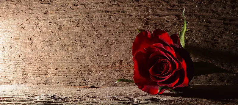 木板背景上的玫瑰花