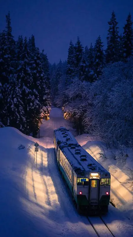 行驶在树林里的火车