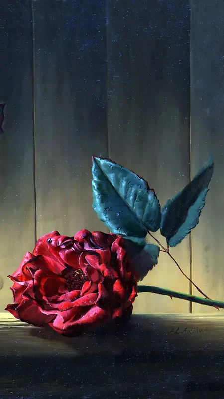爱情浪漫玫瑰背景素材