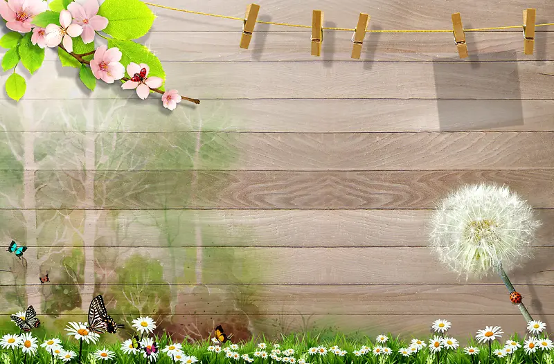 木板桃花蒲公英野菊花竹夹子绘成的相框背景