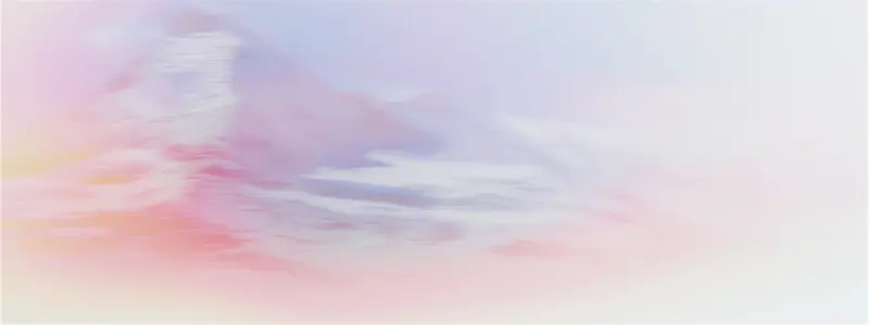 唯品会banner