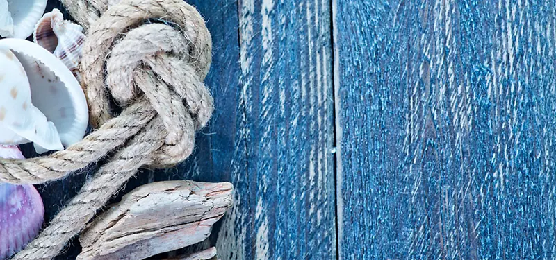 蓝色木板上绳子和海鲜