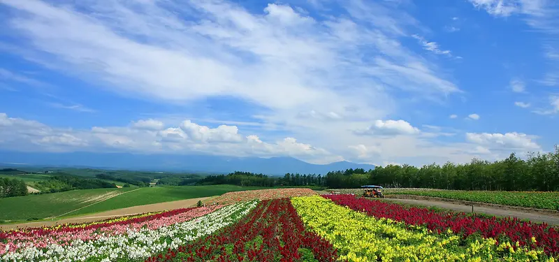 日本北海道