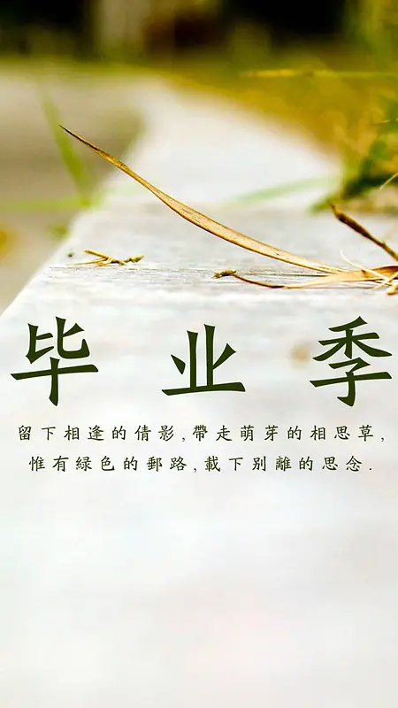 简约文字毕业季H5背景