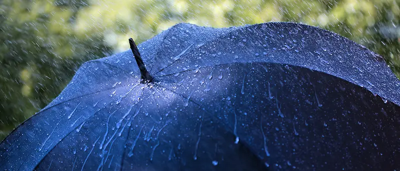 雨伞背景