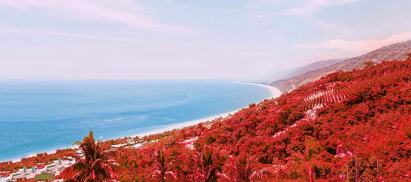秋季枫叶林海景背景