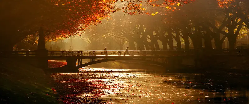 秋天落叶石桥背景