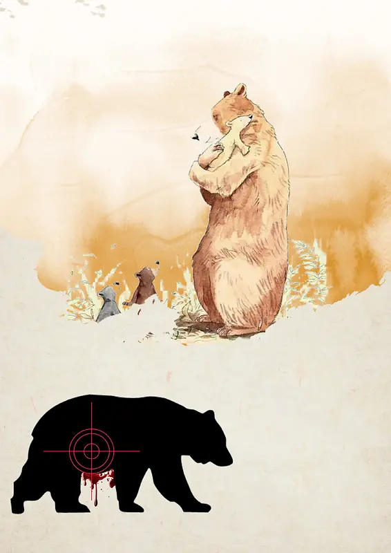 手绘熊禁止猎杀公益海报背景素材