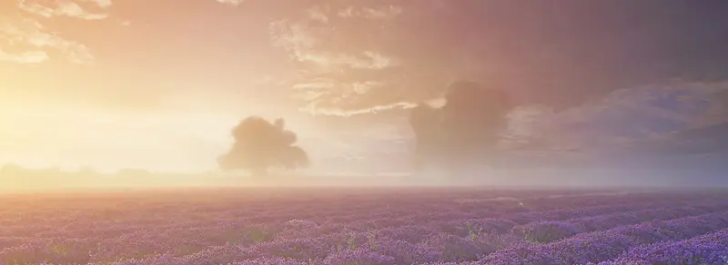 紫色田园背景