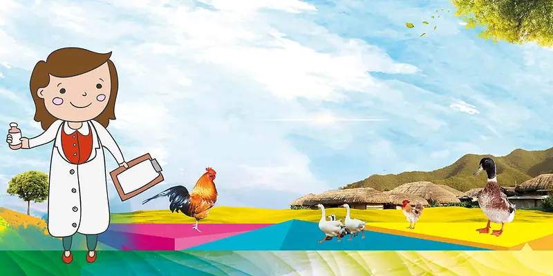 手绘预防禽流感宣传栏海报背景素材