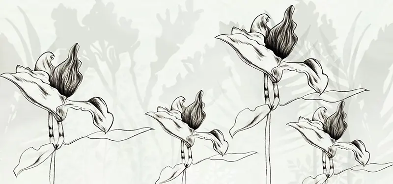 黑白手绘素描花卉简约背景