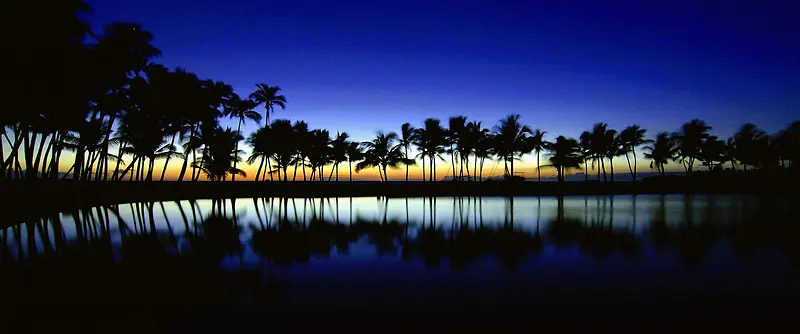海边椰林夜景