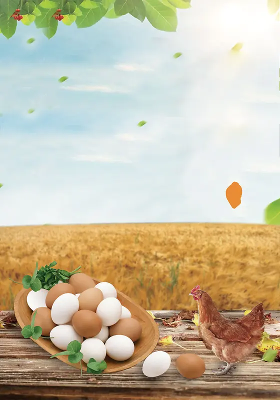 农家土特产土鸡蛋广告海报背景素材