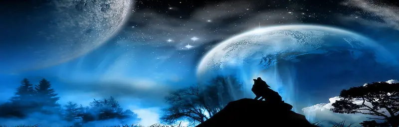 梦幻黑夜星空黑狼