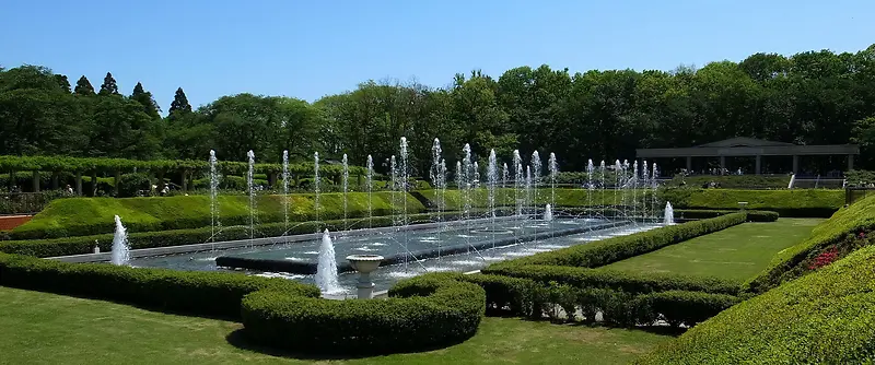 公园树林喷泉背景