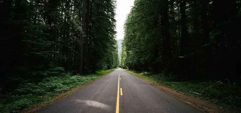 林间公路背景图