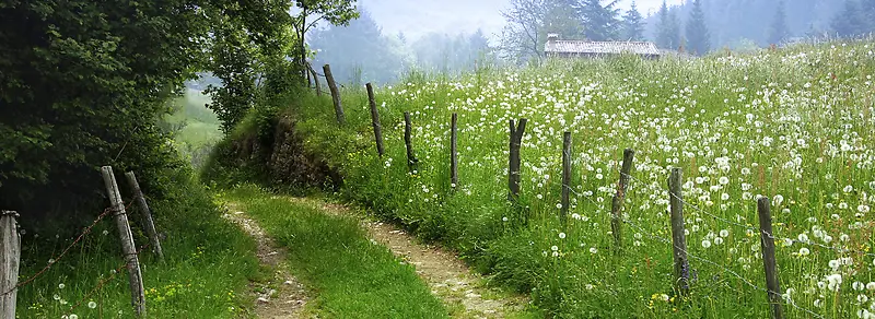 林间的小路