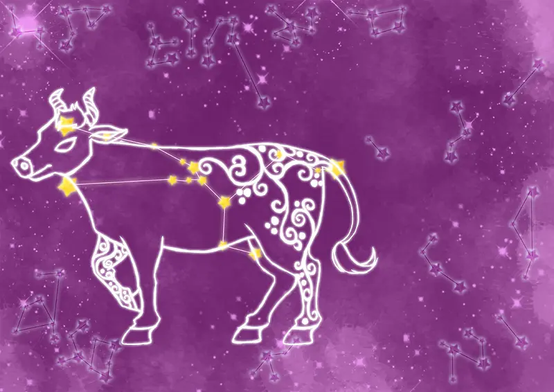 十二星座金牛座卡通图案紫色背景素材