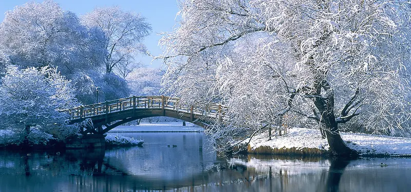 淘宝背景图