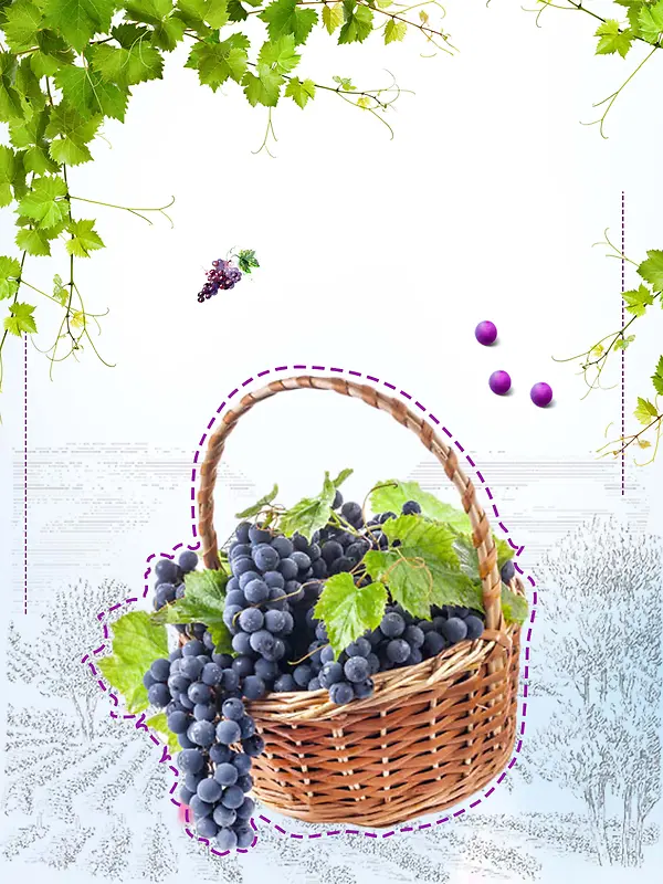 新鲜水果葡萄促销海报背景
