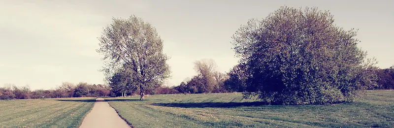 乡间小路背景