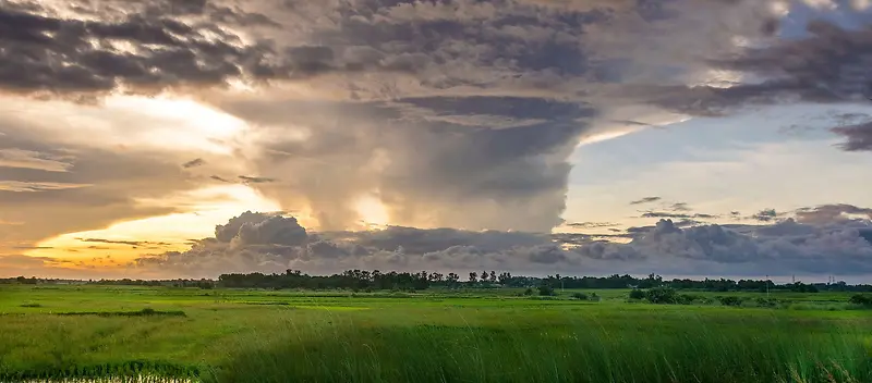 白云草地背景