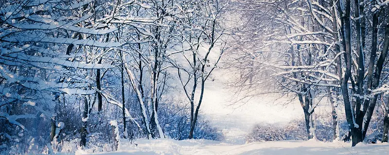 冬日雪景海报banner背景