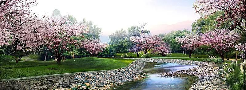 桃花风景