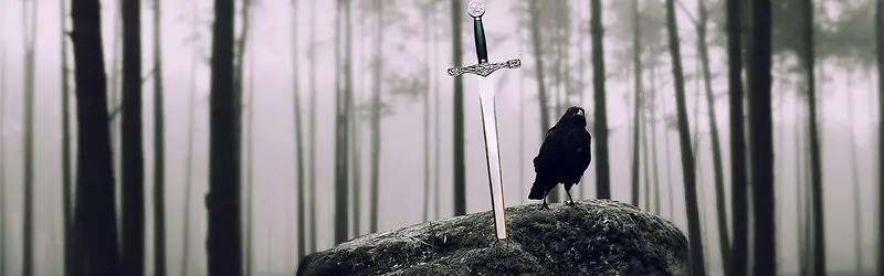 黑白摄影黑鸟与剑背景