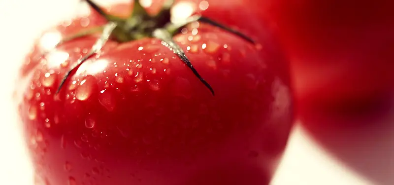 西红柿静物摄影背景