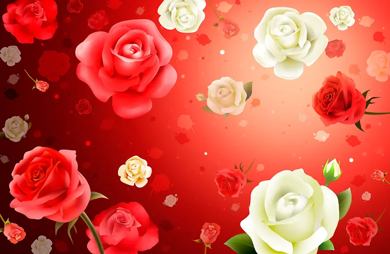 立体红白玫瑰 红色 花 婚礼