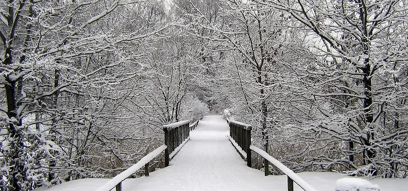冬季雪天木桥背景