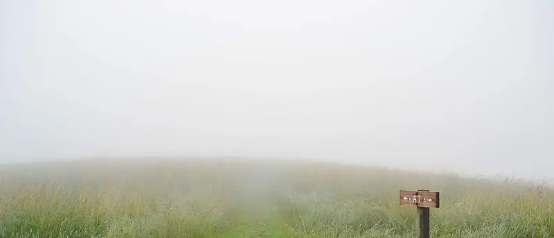 迷雾草地上的南北方向
