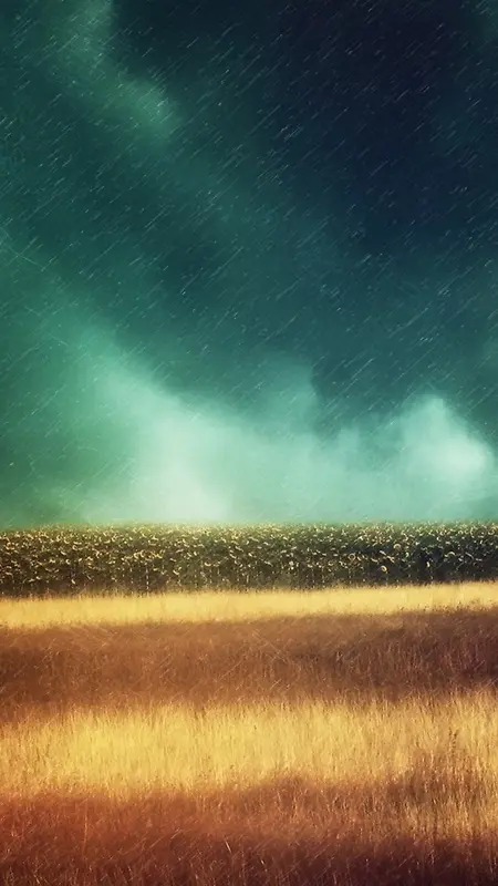 风雨中的麦田H5背景