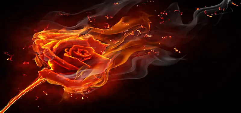 燃烧的火焰玫瑰背景
