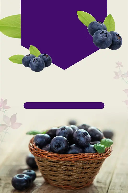 新鲜蓝莓采摘蓝莓节海报背景素材