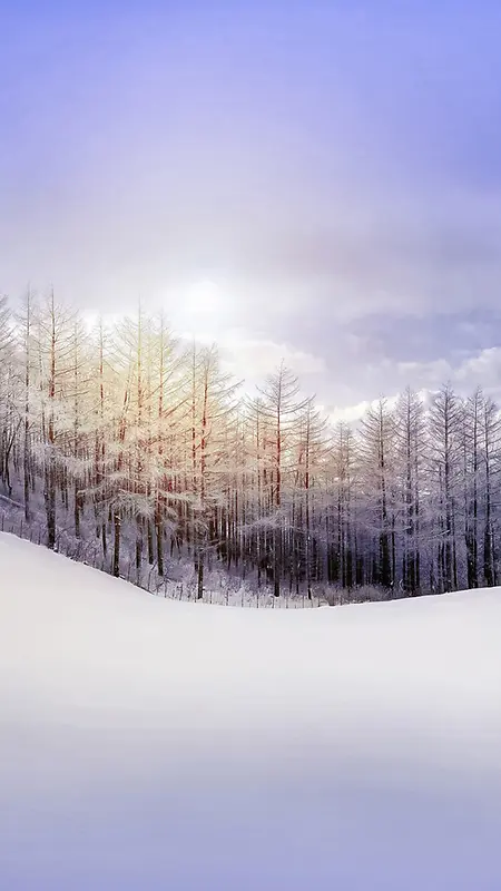 雪地上的树林H5背景
