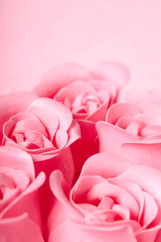玫瑰花粉色背景素材