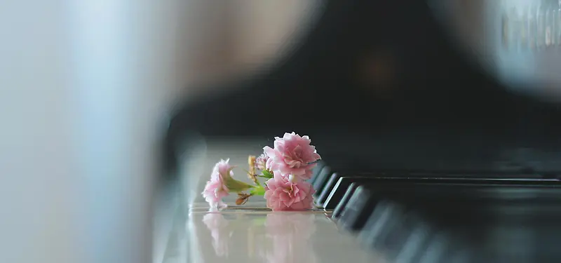 钢琴上的小花背景图