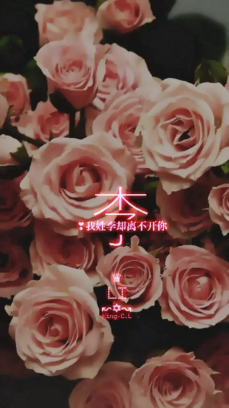 浪漫粉色玫瑰H5背景