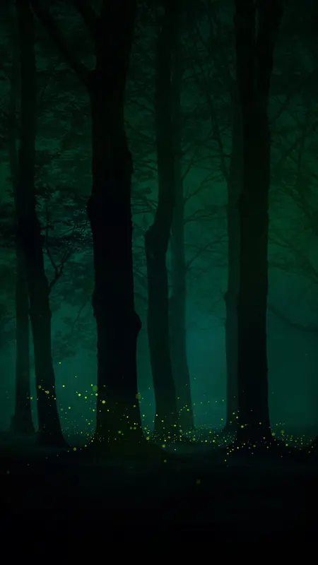树林深夜H5背景